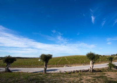 galeria_17