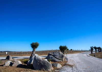 galeria_24