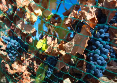 galeria_28