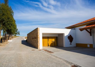 galeria_9